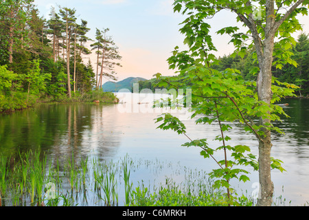 Dusk on Eagle Lake Loop Carriage Road, Eagle Lake, Acadia National Park, Maine, USA Stock Photo