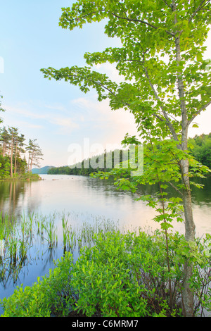 Dusk on Eagle Lake Loop Carriage Road, Eagle Lake, Acadia National Park, Maine, USA Stock Photo