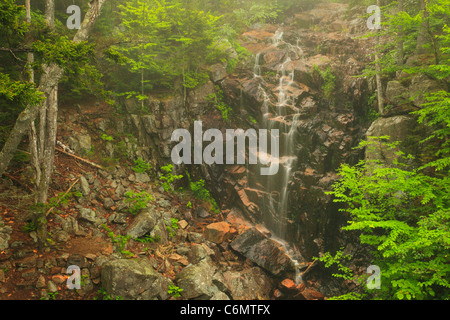 Waterfall at Waterfall Bridge, Hadlock Brook Loop Carriage Road, Acadia National Park, Maine, USA Stock Photo