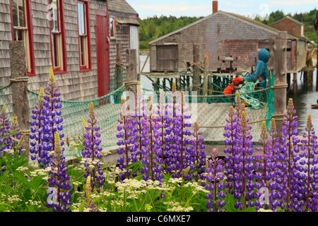 McCurdy Smokehouse, Lubec, Maine, USA Stock Photo