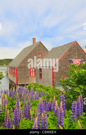 McCurdy Smokehouse, Lubec, Maine, USA Stock Photo