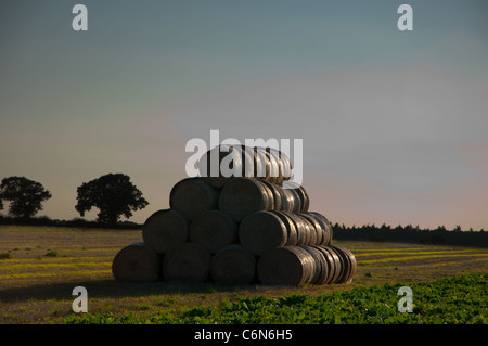 Round straw bails in hay stack in field Stock Photo