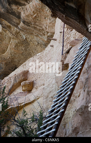 Ladder At Balcony House Cliff Dwelling In Alcove At Chaplin Mesa, Cliff ...