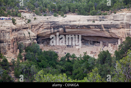 The Cliff Palace dwelling in Mesa Verde National Park Stock Photo