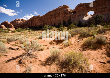 Pine tree arch in Arches National Park Utah USA Stock Photo