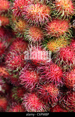 Detail of Rambutan on a fruit stand in Chinatown. Stock Photo