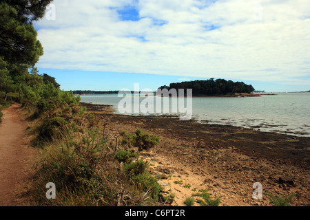 View of le Grand Huernic Island from Les Sept Iles, Locmiquel Peninsular, Baden, Morbihan, Brittany, France Stock Photo