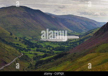 Tal Y Llyn Lake view from Mynydd Dol Ffanog near Corris Stock Photo - Alamy