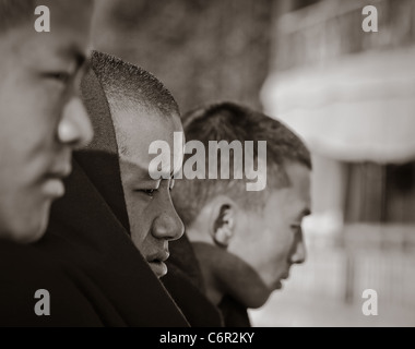 Black and white portrait of  three young Buddhist monks from Galden Namgey Lhatse Monastery, Tawang, Arunachal Pradesh, India Stock Photo