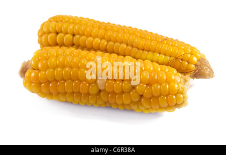 corn on the cob isolated on white background Stock Photo