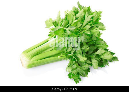 Celery Stock Photo