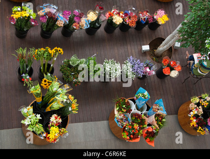 Overhead view of a cut flower stall in a Morningside, Sandton Shopping mall Stock Photo