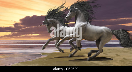 Two white unicorns prance and play near the ocean. Stock Photo