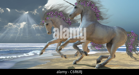 Two beautiful magical white unicorns frolic on the beach. Stock Photo