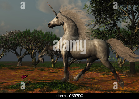 A beautiful male unicorn prances in a magical forest. Stock Photo