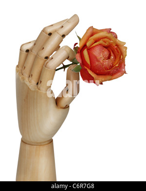 Wooden robot hand holding rose flower over white Stock Photo