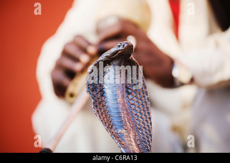 A snake charmer performs in front of the Palace of the Winds in Jaipur, India, Rajasthan state Stock Photo