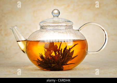 Flowering blooming green tea in glass teapot Stock Photo