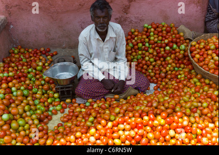 Colourful tomatos sold on the street in Mysore, Karnataka, India. Stock Photo