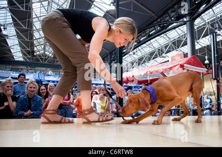 Paw Pageant dog show at Spitalfields Market, London. Local people enter their dogs into the Shoreditch Unbound Festival Dog Show Stock Photo