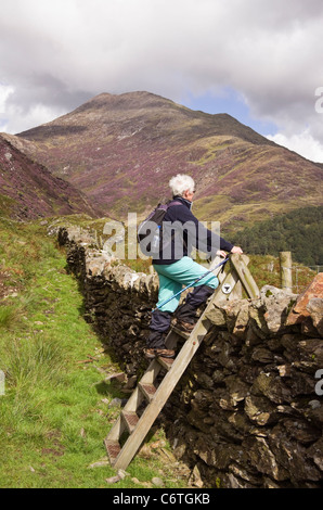 An active senior woman walker climbing on a ladder stile over a dry stone wall. Nantgwynant, Snowdonia National Park, North Wales, UK Stock Photo