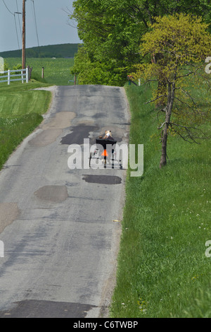 A  Amish woman driving a open horse buggy on the country road in green rural landsape American living daily life lifestyle Ohio USA US vertical hi-res Stock Photo