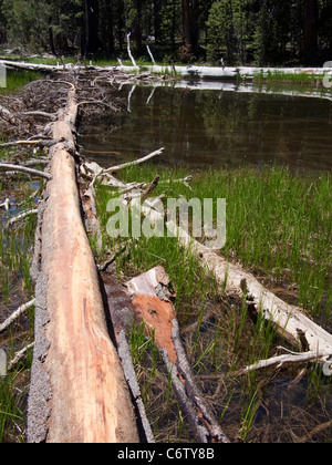 Dog Lake, Yosemite National Park, California Stock Photo