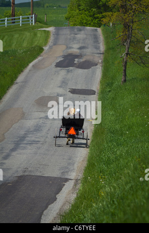 A Amish woman driving open a horse buggy rear view in Ohio USA US daily life living scenes of life concept events vertical hi-res Stock Photo