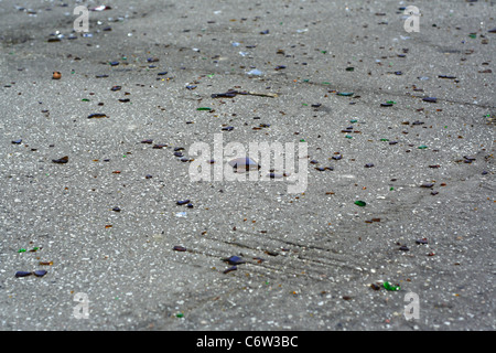 Broken glass on asphalt Stock Photo