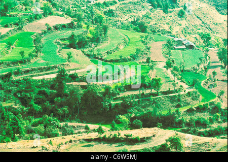 Valley of Birds with spring agricultural crops forth coming at Chakrata-Uttarakhand -India. Stock Photo
