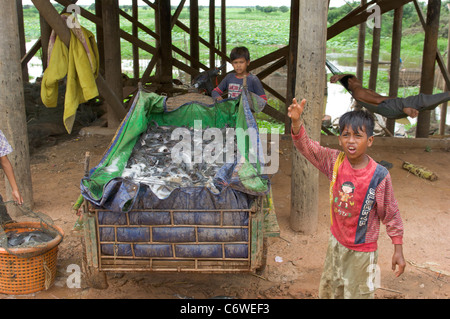 Boys selling live fish at Kompong Klang village, on the shore of Tonle Sap lake, near Siem Reap, Cambodia Stock Photo