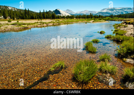 Tuolumne Meadows is a gentle, dome-studded sub-alpine meadowy section of the Tuolumne River, in the eastern section of Yosemite Stock Photo