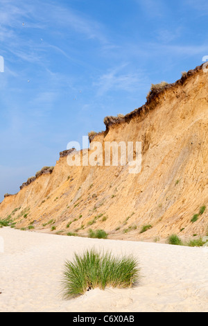 Rotes Kliff (red cliff), Kampen, Sylt Island, Schleswig-Holstein, Germany Stock Photo