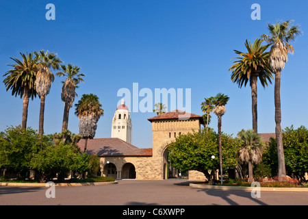 Stanford University campus, Palo Alto, California, USA, with Hoover Tower in the background. JMH5199 Stock Photo