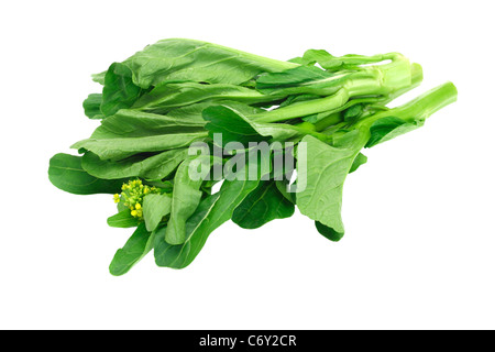 Fresh green mustard on white background (Brassica juncea) Stock Photo