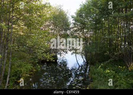 Kottlasjön, Lidingö (Sweden) Stock Photo