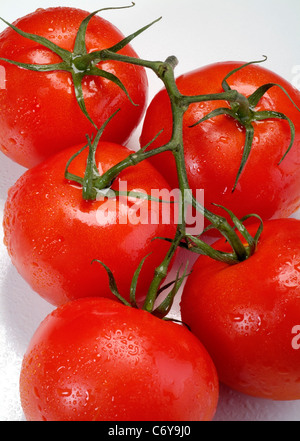 Bunch of fresh tomatoes with water drops, isolated on white background ...