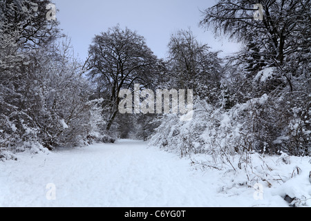 Winter snow scene, Houghton Forest West Sussex Stock Photo