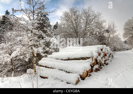 Winter snow scene, Houghton Forest, West Sussex. Stock Photo