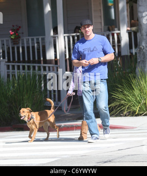 Hayden Panettiere with Ukranian boxing champion Wladimir Klitschko walking their dog after having breakfast at Le Pain and Stock Photo