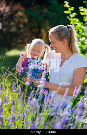 Mother and daughter picking lavender Stock Photo