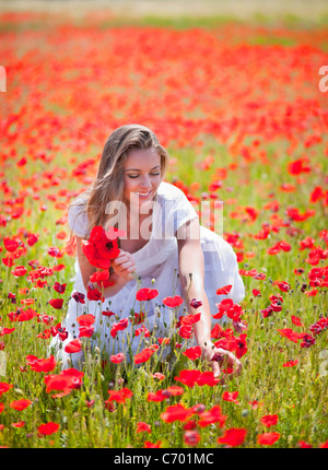 Woman picking poppies in field Stock Photo