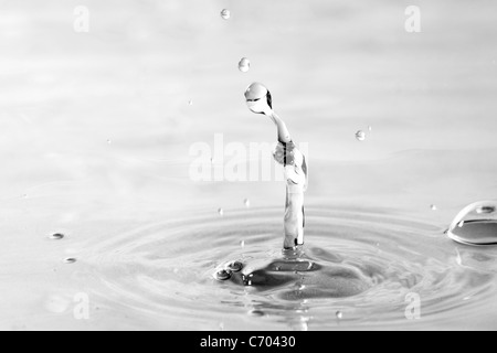 A clear water droplet splash isolated over a white background. Shallow depth of field. Stock Photo