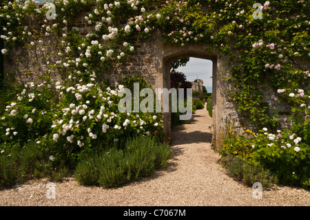 Roses climbing a stone wall and framing the view of the walled garden and part of Rousham House in Oxfordshire, England Stock Photo