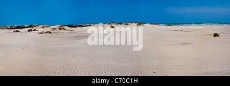 Panorama of wind blowing on sand dunes on South Padre Island on the Gulf Coast of South Texas. Stock Photo