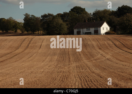 White farmhouse next to a field of stubble, UK Stock Photo