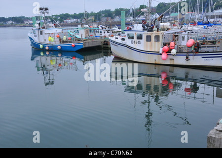 Scallop fishing boats docked at Digby, Nova Scotia, Canada. Stock Photo