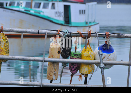 Scallop fishing boats docked at Digby, Nova Scotia, Canada. Stock Photo