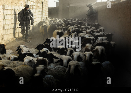 U.S. Army soldiers watch as a flock of sheep moves past them during a cordon and search mission for high value insurgents in Upper Dugmut, Iraq, on April 3, 2008. The soldiers are attached to 3rd Platoon, Delta Company, 2nd Battalion, 22nd Infantry Regiment, 1st Brigade Combat Team, 10th Mountain Division. DoD photo by Staff Sgt. Samuel Bendet, U.S. Air Force. (Released) Stock Photo