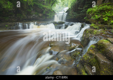 Sgwd Isaf Clun-gwyn Waterfall. Near Ystradfellte. Brecon Beacons National Park. Powys. Wales. UK. Stock Photo